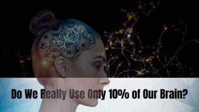 Do We Really Use Only 10% of Our Brain